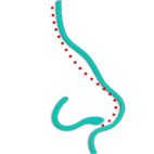 دکتر حسام اسکندرزاده جراح زیبایی بینی